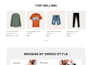 build luxury wordpress website design and development